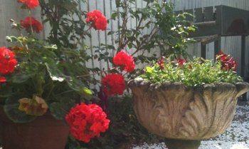 Diana'S B&B 2* Oxford